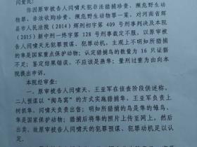 河南新乡法院驳回”大学生掏鸟被判十年”案申诉