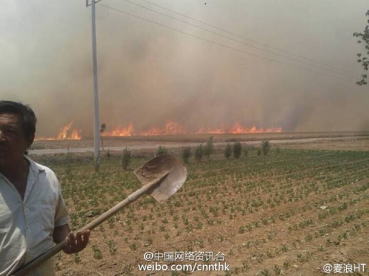 河南近万亩小麦再被烧 数日前曾被烧上千亩